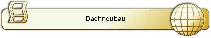 Dachneubau