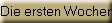 Die ersten Wochen